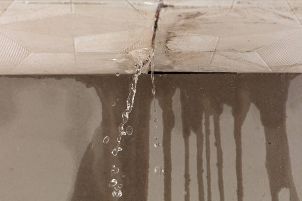 Professional Commercial Water Damage Restoration technician working in Greenbank, WA